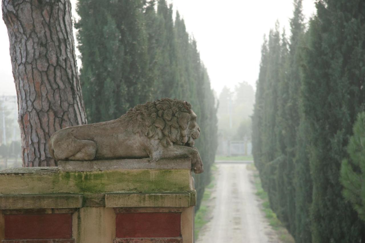 Villa Guadagni Cappelli 阿雷佐 外观 照片